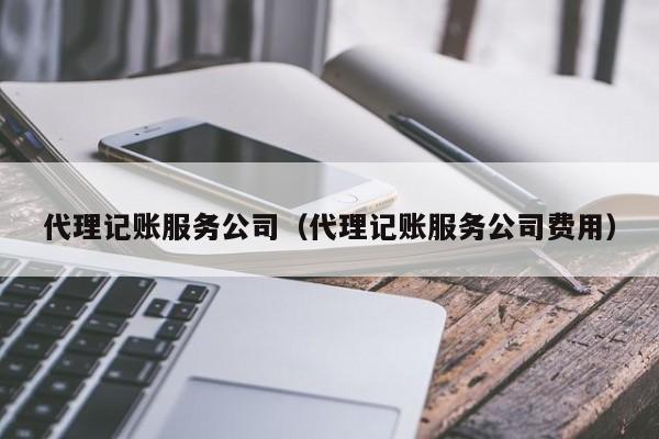 代理記賬服務公司（代理記賬服務公司費用(Use)）